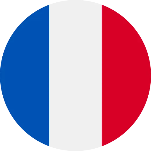 French flag icon representing France investors exploring Dubai real estate market