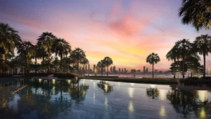 Infinity pool at The Edit at d3 overlooking the Dubai skyline at sunset, surrounded by palm trees and waterfront landscaping in Dubai Design District, Presented by Tohid Fetrat