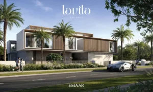 Lavita at The Oasis by Emaar 6 bedroom mansion with modern street view, contemporary facade, floor to ceiling windows and palm lined surroundings in Dubai Presented by Tohid Fetrat