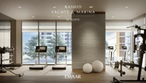 Seagate at Rashid Yachts & Marina by Emaar modern gym interior with fitness equipment large windows and natural light in Dubai - Presented by Tohid Fetrat