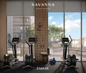 Savanna at Dubai Creek Harbour by Emaar Properties contemporary fitness center with premium exercise equipment and landscaped outdoor views in Dubai Presented by Tohid Fetrat