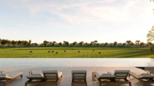 Selvara 3 at Grand Polo Club & Resort by Emaar Properties panoramic view of the polo fields with luxury villas and outdoor lounge in Dubai Presented by Tohid Fetrat